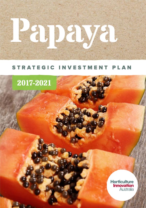 Papaya Strategic Investment Plan 2017-2021