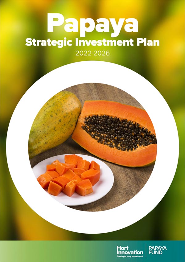 Papaya Strategic Investment Plan 2022-2026
